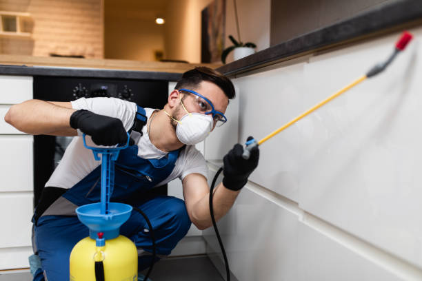 Best Flea Control Services  in Essex, IL