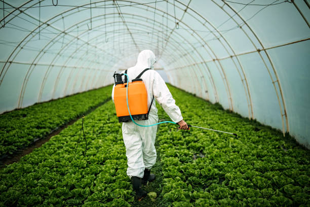 Best Best Pest Control Companies  in Essex, IL