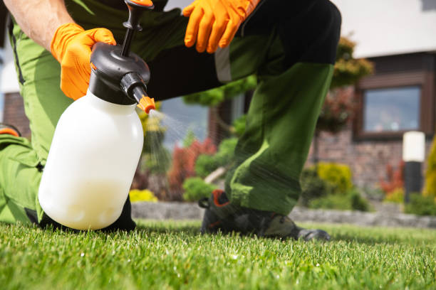 Best Affordable Pest Control Services  in Essex, IL