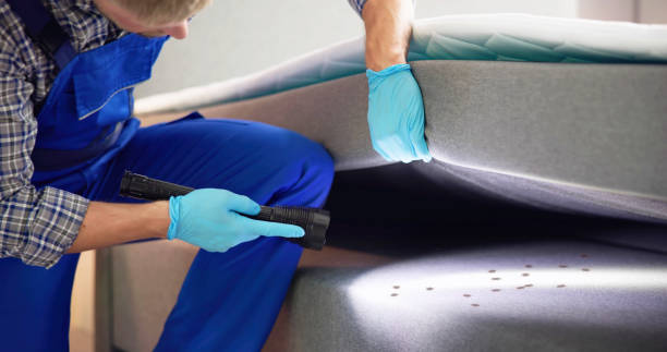 Best Commercial Pest Control Services  in Essex, IL