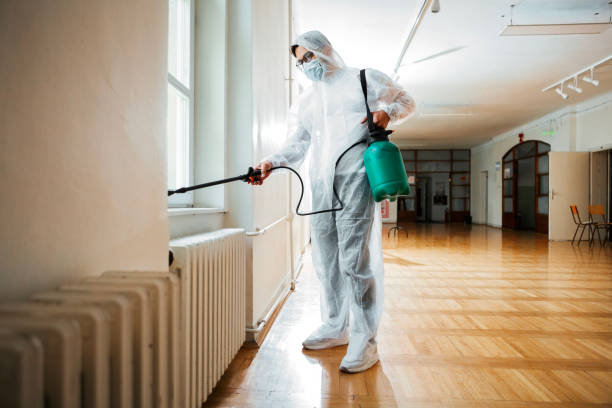 Wasp Removal Services in Essex, IL
