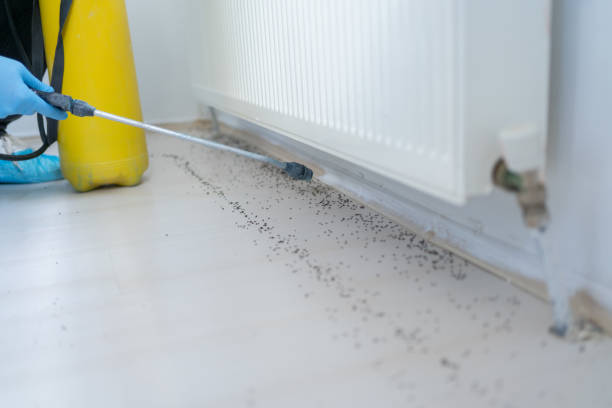 Pest Control Cost in Essex, IL