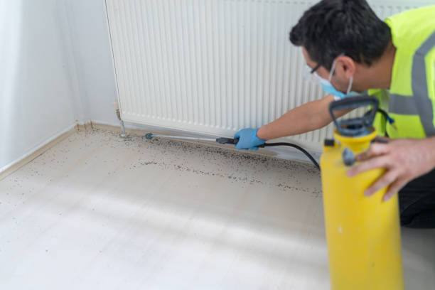 Best Residential Pest Control  in Essex, IL