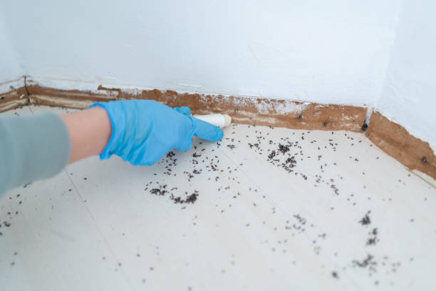 Best Pest Removal Services  in Essex, IL