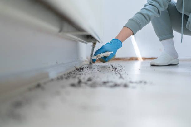 Best Pest Control Cost  in Essex, IL