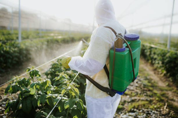 Best Wildlife Control Services  in Essex, IL